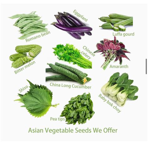 what type of plant are the seeds from china